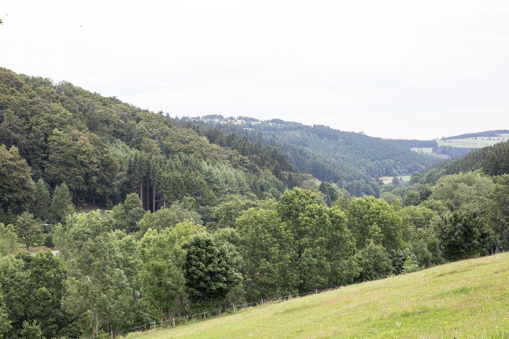 Ferienwohnung Ruhenest Willingen  Exterior photo